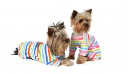 Pyžamo proužek (doprodej skladových zásob) - růžová XS I love pets